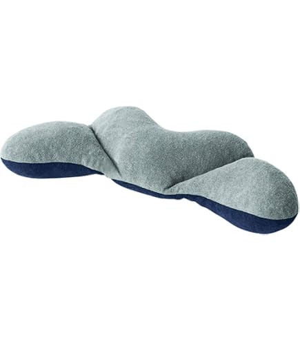 Amazon.co.jp: p!nto TRONCO（ピントトロンコ）【正規品】体幹の土台を